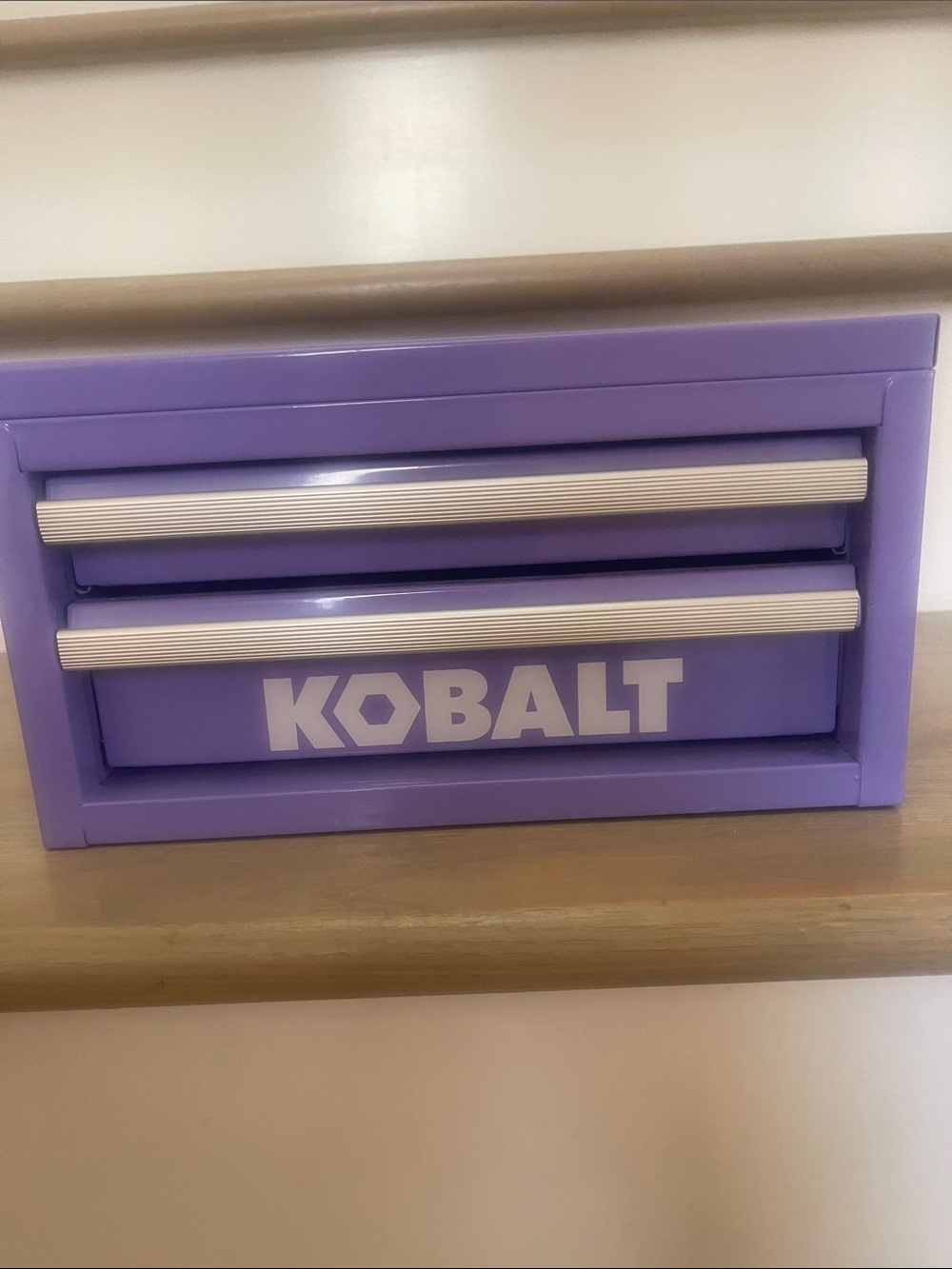 Kobalt Purple Metal Storage Chest with Two Drawers